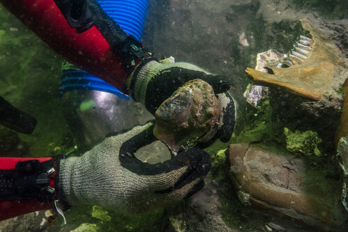 Thonis-Heracleion, Kota Peradaban Sejarah Mesir Kuno yang Tenggelam di Dasar Laut. (Foto: Franck Goddio/Christoph Gerigk)