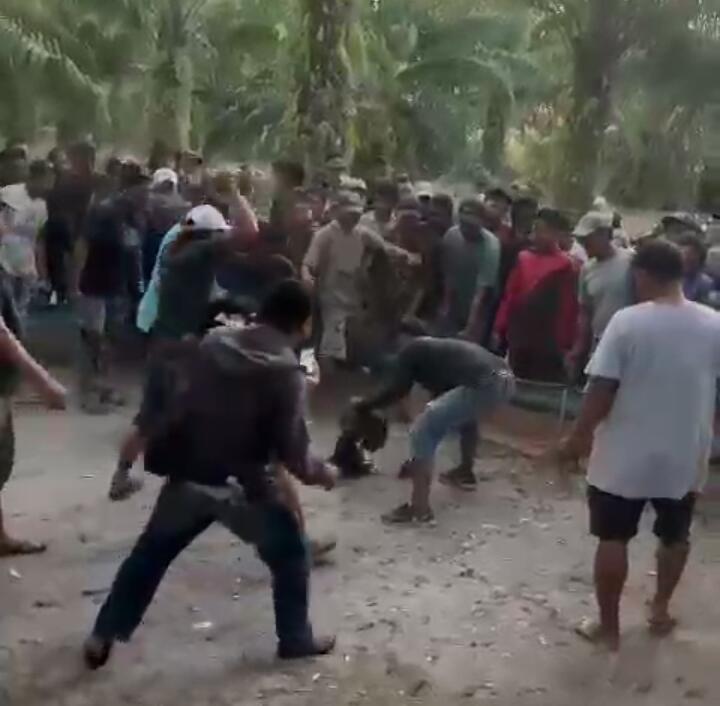 Aktivitas Sabung Ayam di Pinrang Berkedok Judi, Warga Menduga Ada Bekingan Oknum Aparat