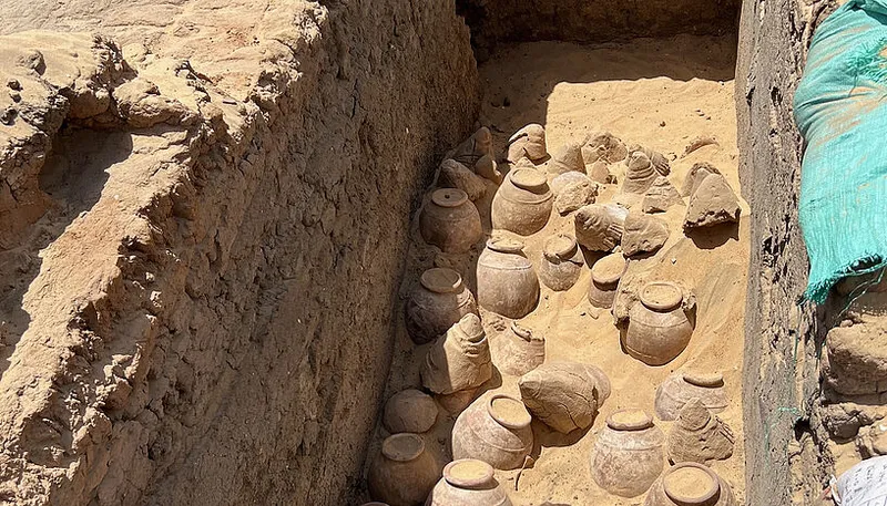 Anggur Berusia 5.000 Tahun Ditemukan Arkeolog di Makam Ratu Mesir. (Foto: EC Kohler via IFL Science)