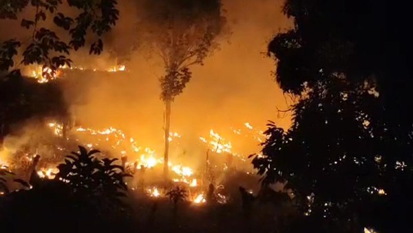 Fenomena Kebakaran Hutan di Enrekang, 3 Hari Tak Kunjung Padam