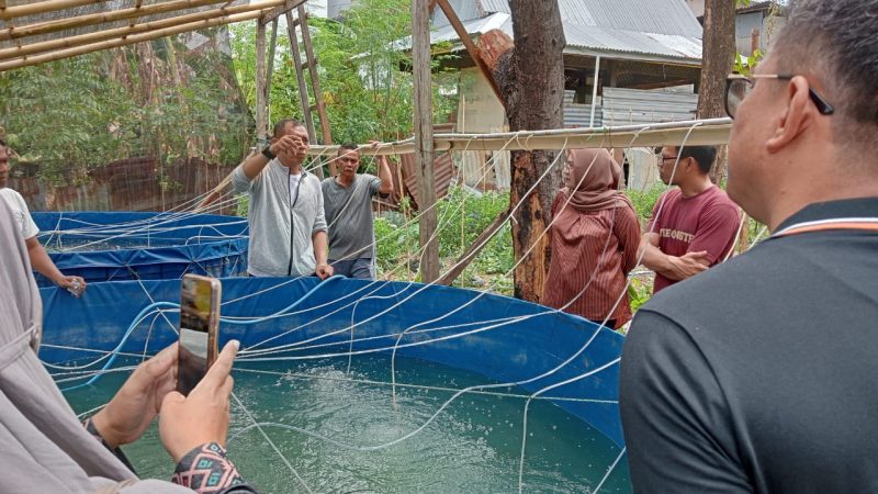 Pj Wali Kota Akbar Ali Apresiasi Budidaya Ikan, Sasaran Jelas Kesejahteraan Masyarakat