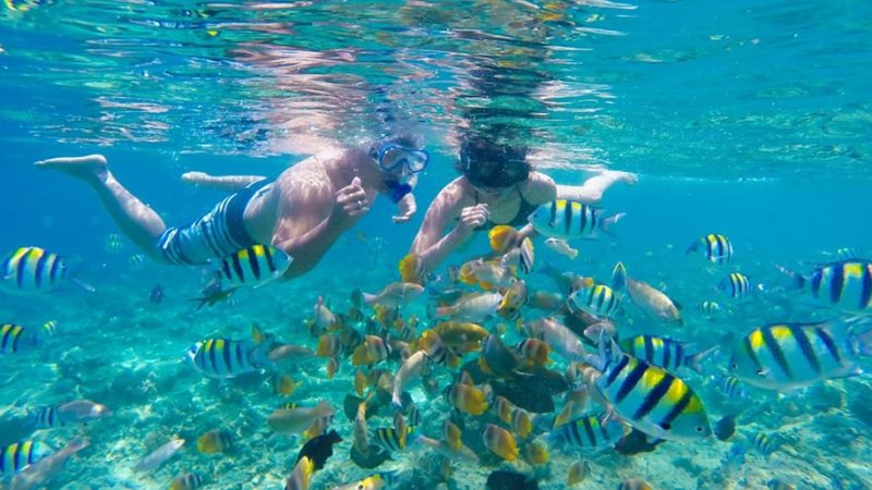 Menikmati Olahraga Snorkeling di Pulau Payung, Airnya Jernih dan Banyak Ikan Kecil