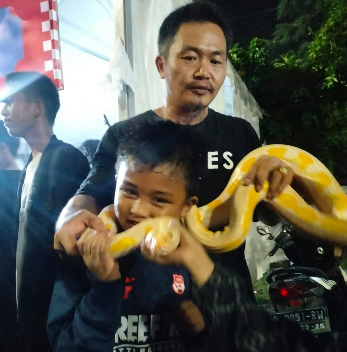 Komunitas Hewan Exaiver di Festival UMKM Parepare, Beri Edukasi tentang Satwa Liar