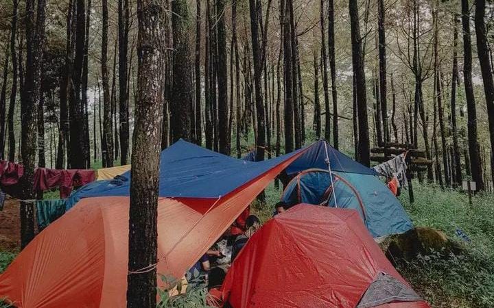 Hidden Gem di Mojokerto: Wisata Air Terjun Surodadu, Cocok Buat Kamping