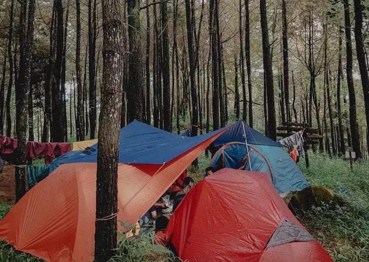 Hidden Gem di Mojokerto: Wisata Air Terjun Surodadu, Cocok Buat Kamping