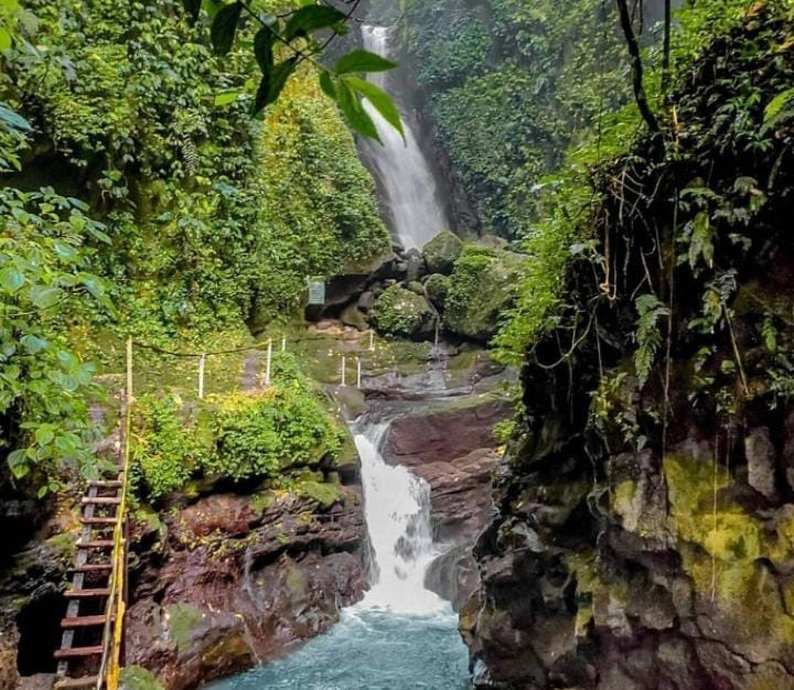 Air Terjun Walet Pamijahan, Wisata Alam Tersembunyi di Kaki Gunung Bogor