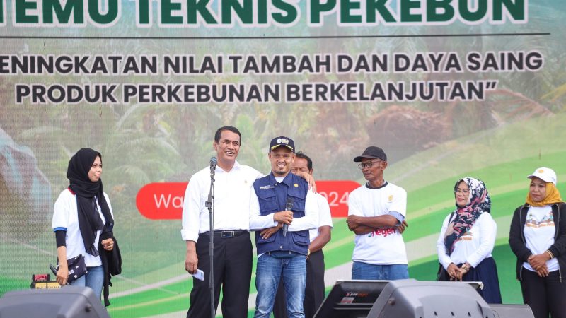 Mentan Optimis Indonesia kembali Jadi Negara Swasembada Pangan, Janji Bantu Percetakan Sawah Baru di Wajo