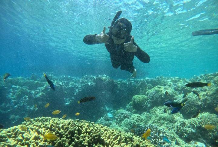 Pulau Tabuhan Kabupaten Bayuwangi, Jawa Timur. (Foto: Instagram/@pulautabuhan.id)