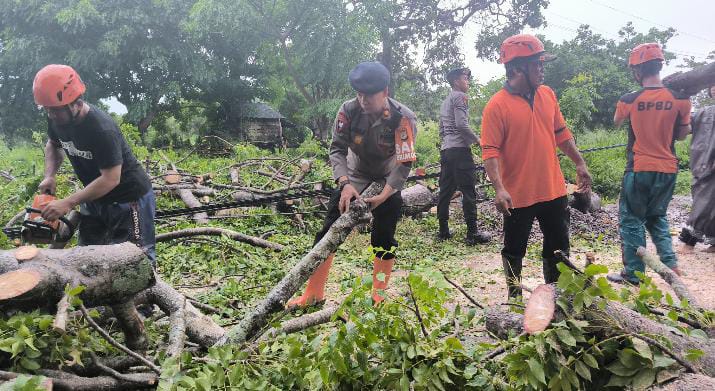 Brimob Sulsel bersama BPBD Parepare Gerak Cepat Evakuasi Pohon Tumbang di Tiga Titik