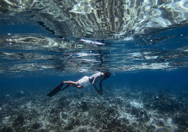 Danau Matano, Terdalam di Asia Tenggara dan Tempat Hidup Ikan Purba