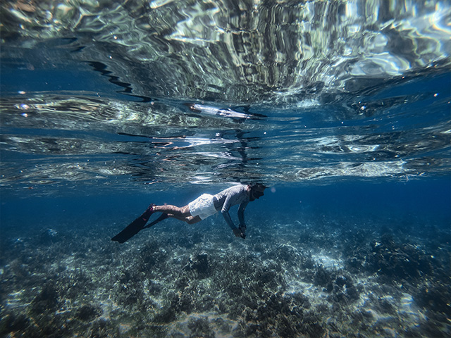 Danau Matano, Terdalam di Asia Tenggara dan Tempat Hidup Ikan Purba