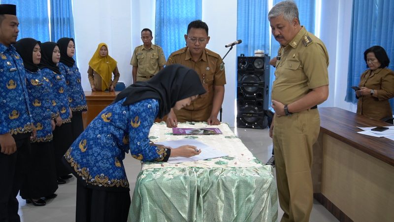 Bupati Irwan Hamid Serahkan SK PPPK bagi 15 Nakes di Pinrang