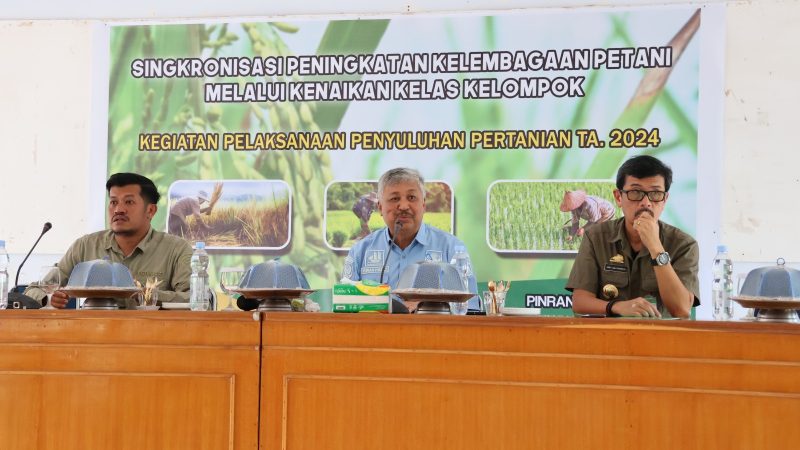 Bupati Pinrang Hadiri Kegiatan Penyuluhan Pertanian 2024, Beri Solusi Tingkatkan Hasil Produksi Petani