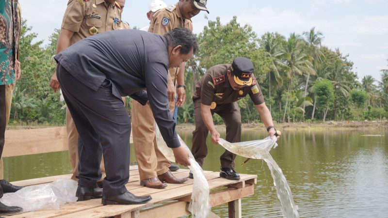 Kajati Sulsel Kunjungi Kampung Pangan Adhyaksa di Desa Agro Mulyo Lutim