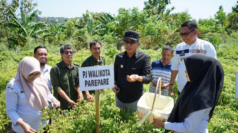 Pj Wali Kota Akbar Ali Launching Pasar Tani DPKP, Hasil Produksi Pertanian Bisa Dibeli dengan Harga Terjangkau