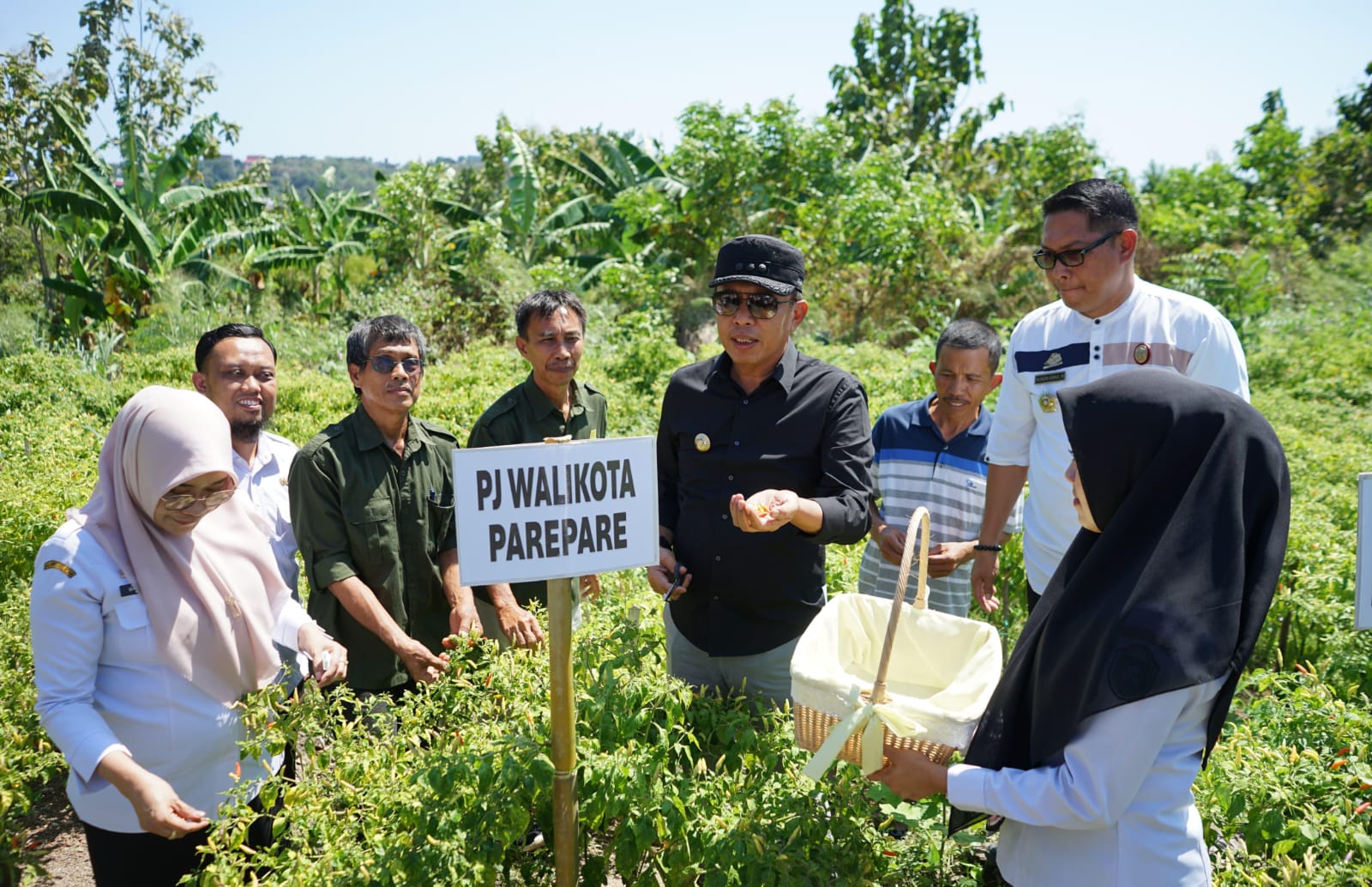 Pj Wali Kota Akbar Ali Launching Pasar Tani DPKP, Hasil Produksi Pertanian Bisa Dibeli dengan Harga Terjangkau