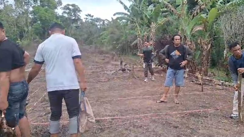 Polisi Gerebek Sabung Ayam di Kassa Pinrang