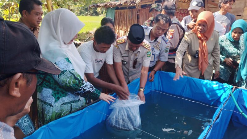 Intervensi Kemiskinan Ekstrem, Bantuan Keuangan Rp 500 Juta Era Andi Sudirman Berhasil Geliatkan Ekonomi Desa di Luwu