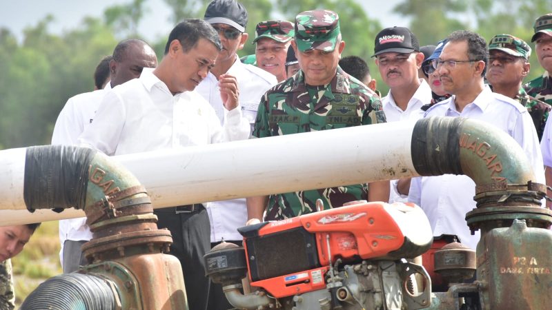 BPS: Anomali, Produksi Meningkat saat Paceklik, Strategi Pompanisasi Mentan Manjur