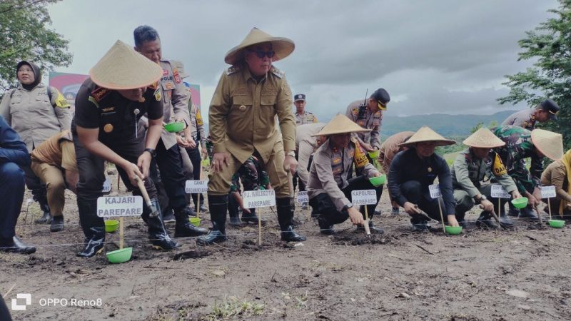 Dukung Swasembada Pangan, Pemkot Parepare Ikut Sukseskan Penanaman Jagung Serentak Satu Juta Hektar