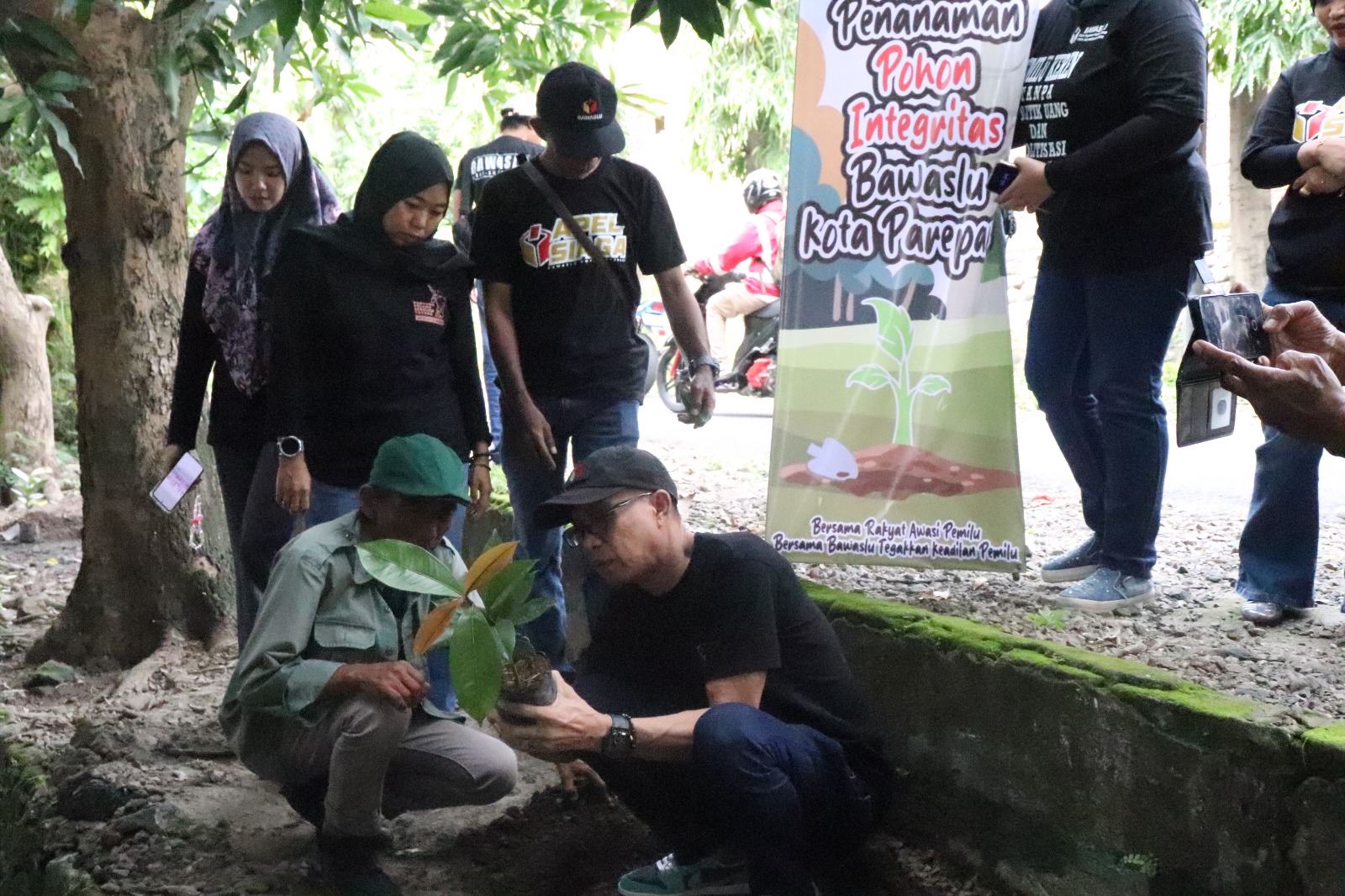 Bawaslu Parepare Tanam Pohon Manggis, Simbol Integritas dan Komitmen Demokrasi
