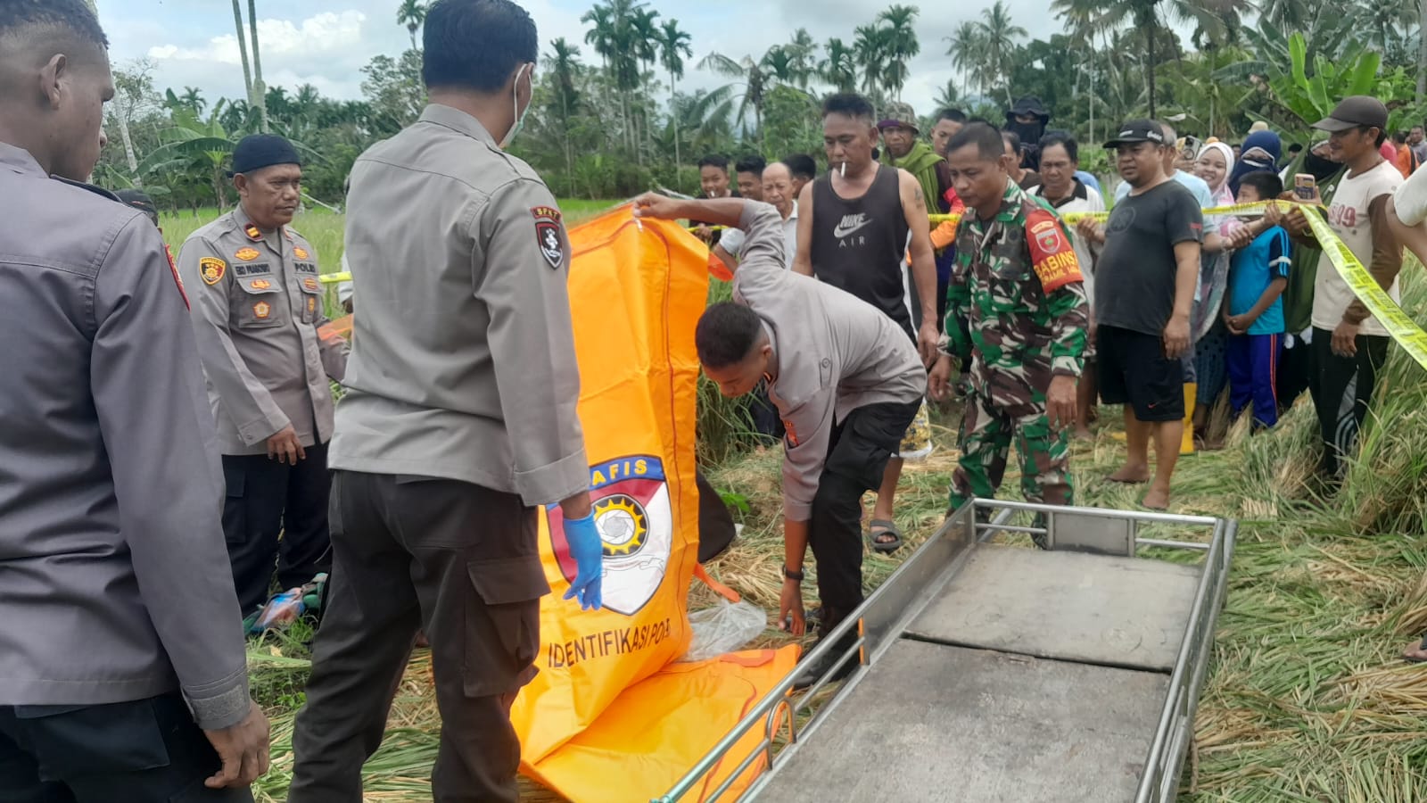 Polisi Usut Penemuan Mayat Wanita di Sawah Pinrang