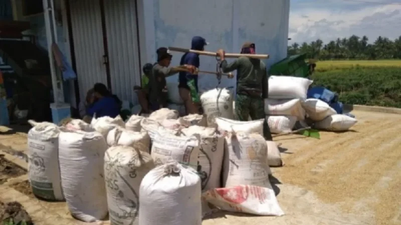 Bulog Pinrang Klaim Belum Terima Laporan Pemotongan Timbangan
