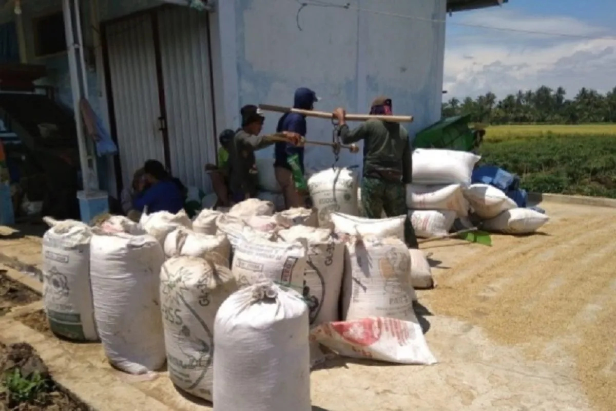 Bulog Pinrang Klaim Belum Terima Laporan Pemotongan Timbangan
