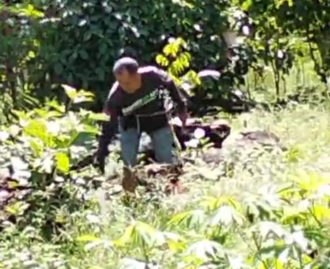 Oknum Penyidik Diduga Intimidasi Pelapor Pengrusakan Lahan di Enrekang
