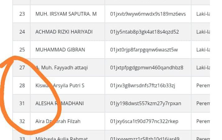 Orangtua Siswa Temukan Kejanggalan di SPMB Parepare, Nomor Urut Ada yang Hilang