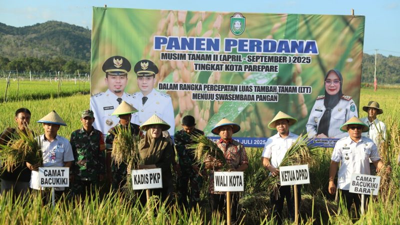 Wali Kota Tasming Hamid Pimpin Panen Perdana Benih Padi, Dorong Parepare Jadi Sentra Penghasil Benih