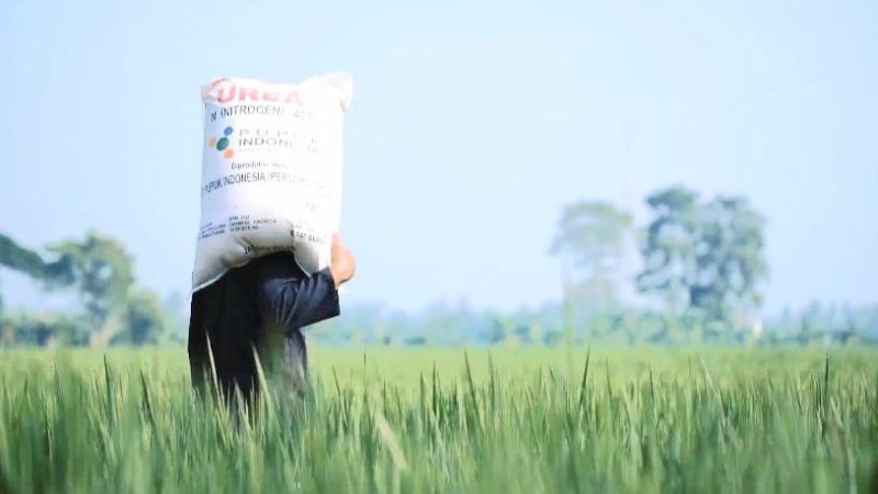 Survei Litbang Kompas: 71,5 Persen Puas dengan Kinerja Kementan