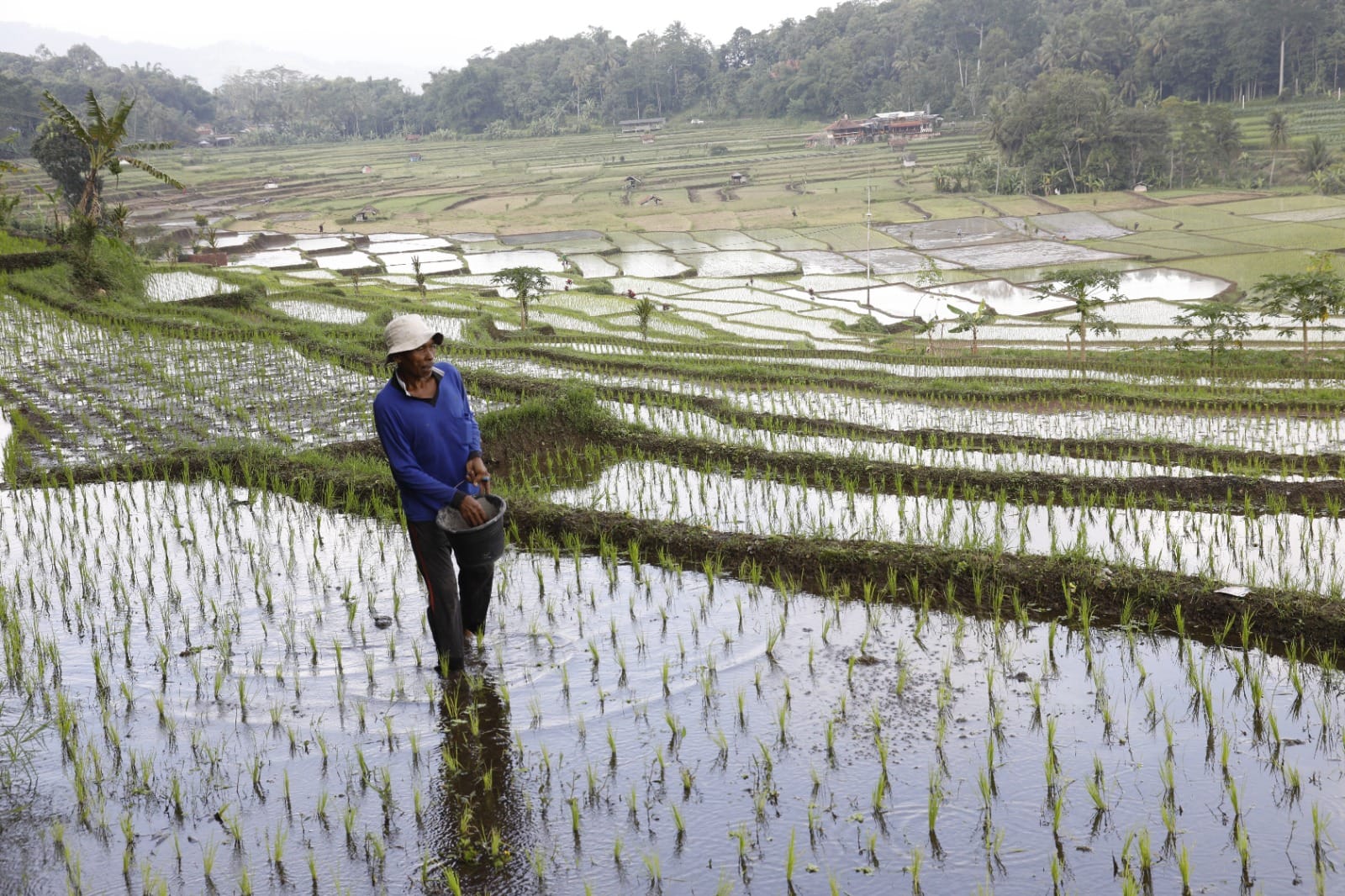 Stok Pupuk Aman, Mentan Amran Pastikan Temuan Kasus Pupuk Tidak Ganggu Pertanaman Petani