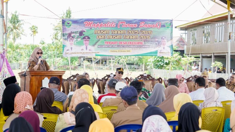 Hadiri Turun Sawah dan Mappalili di Cilellang, Bupati Barru Ingatkan Pentingnya Memanfaatkan Dukungan Anggaran Dari Kementan Dengan Baik