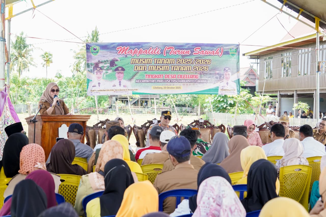Hadiri Turun Sawah dan Mappalili di Cilellang, Bupati Barru Ingatkan Pentingnya Memanfaatkan Dukungan Anggaran Dari Kementan Dengan Baik