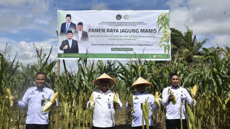 Dorong Ketahanan Pangan, Rutan Pinrang Panen Jagung bersama Kakanwil Ditjenpas Sulsel