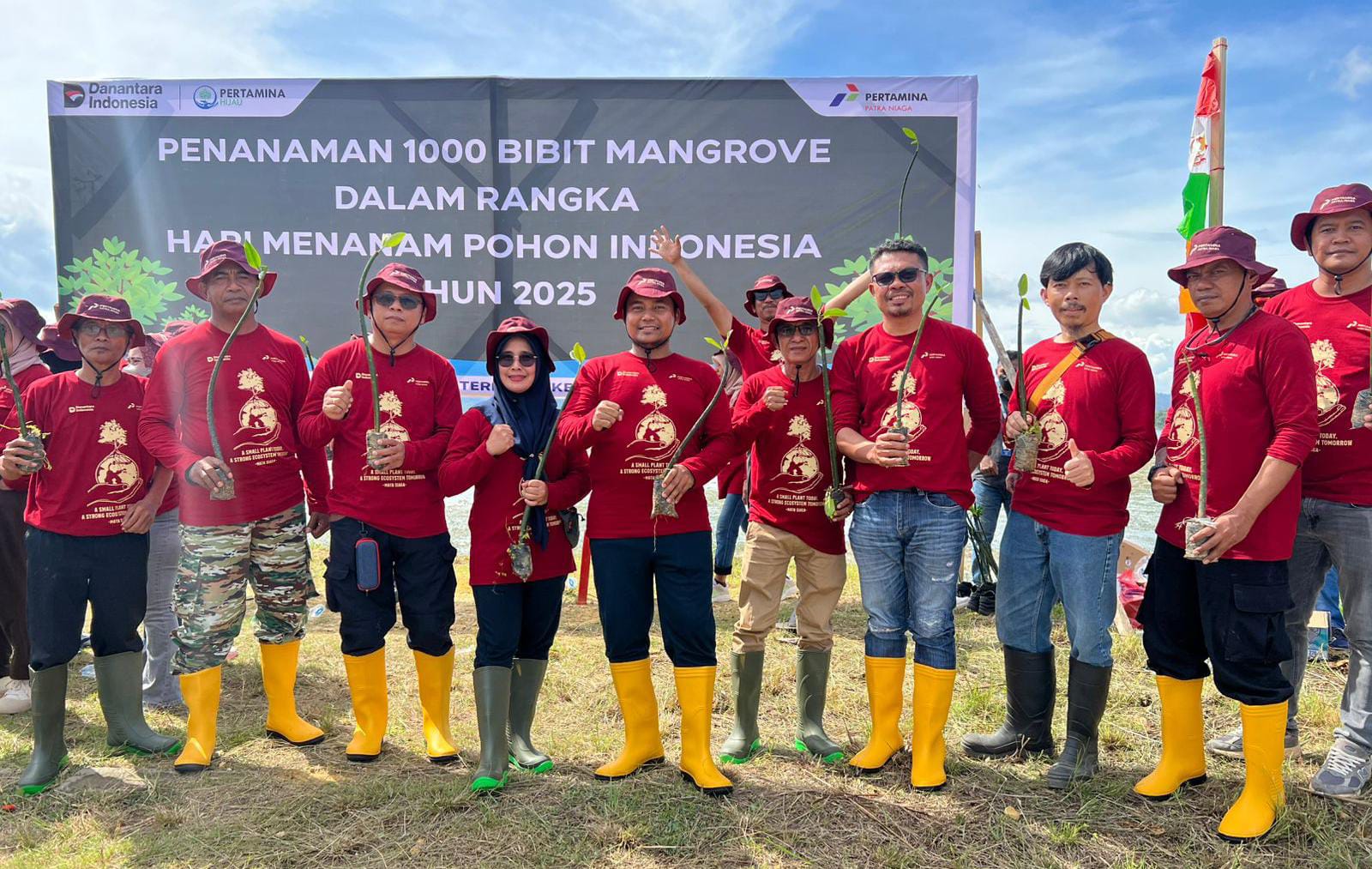 Pertamina Sulawesi Tanam 1.000 Mangrove di Kendari untuk Wujudkan Ekosistem Pesisir yang Lebih Tangguh