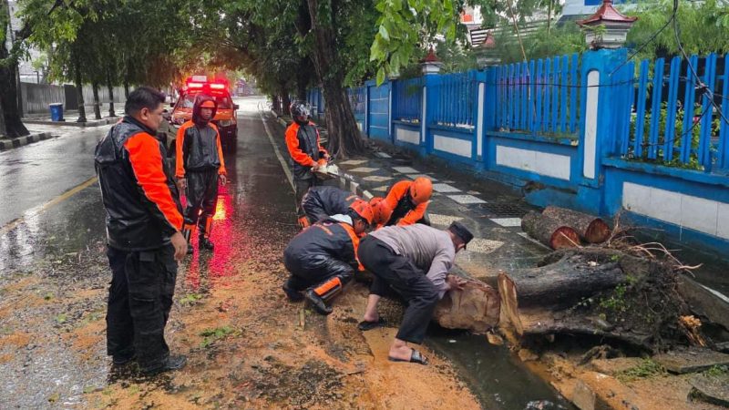 Personil Polsek KPN Polres Parepare Bantu Bersihkan Pohon Tumbang