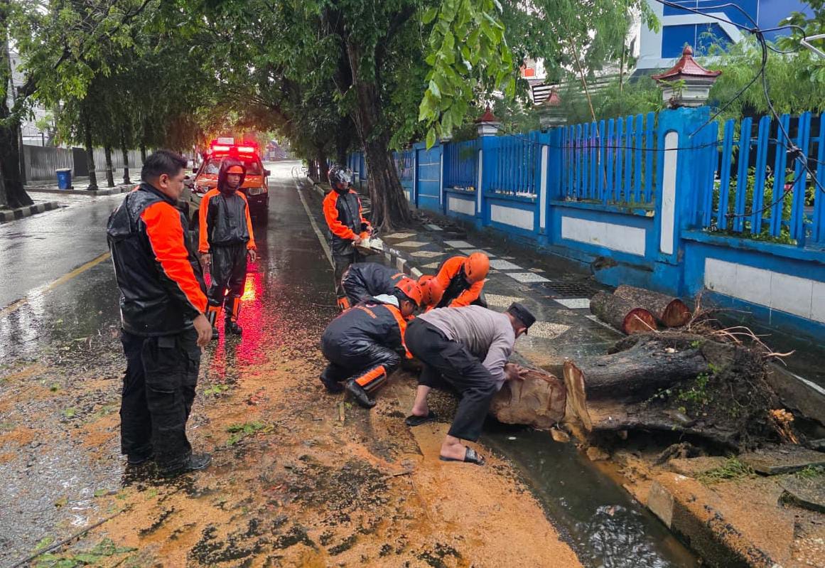 Personil Polsek KPN Polres Parepare Bantu Bersihkan Pohon Tumbang
