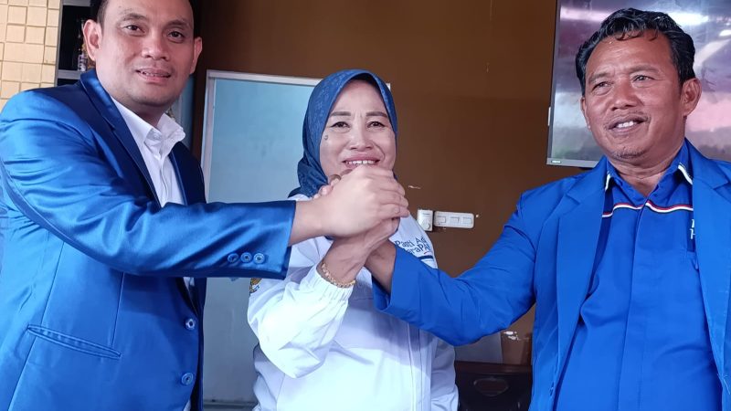 Hermanto Terpilih Ketua DPD PAN Parepare Gantikan Musdalifah Pawe