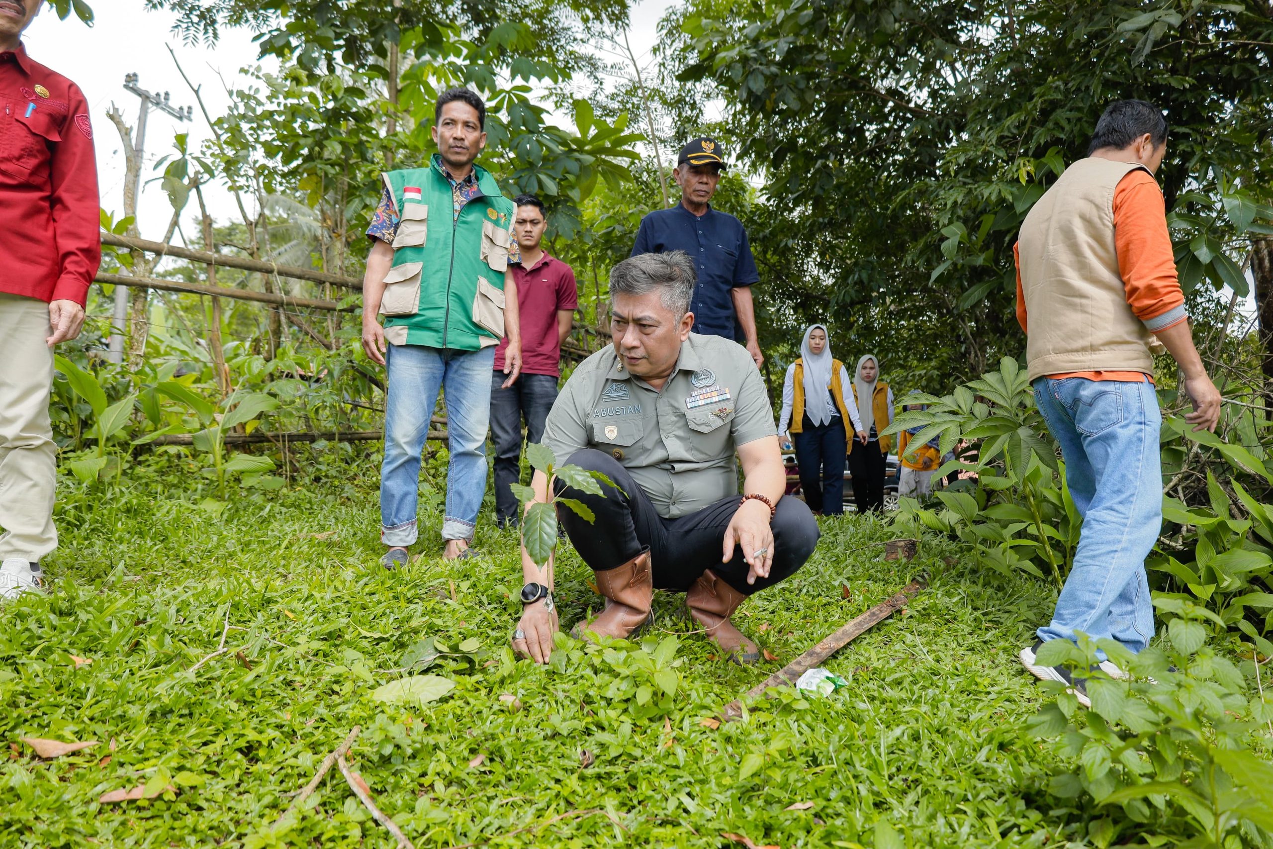 Wakil Bupati Barru Tinjau Kebun Kopi di Gattareng, Komitmen Dorong Penguatan Sektor Perkebunan Rakyat