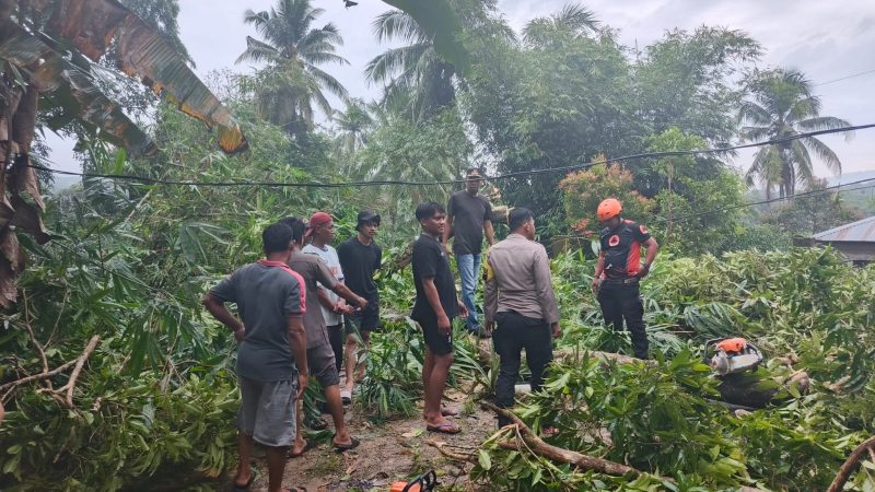 Personel Polres Barru Gerak Cepat Turut Evakuasi Pohon Tumbang Timpa Rumah Warga di Kading