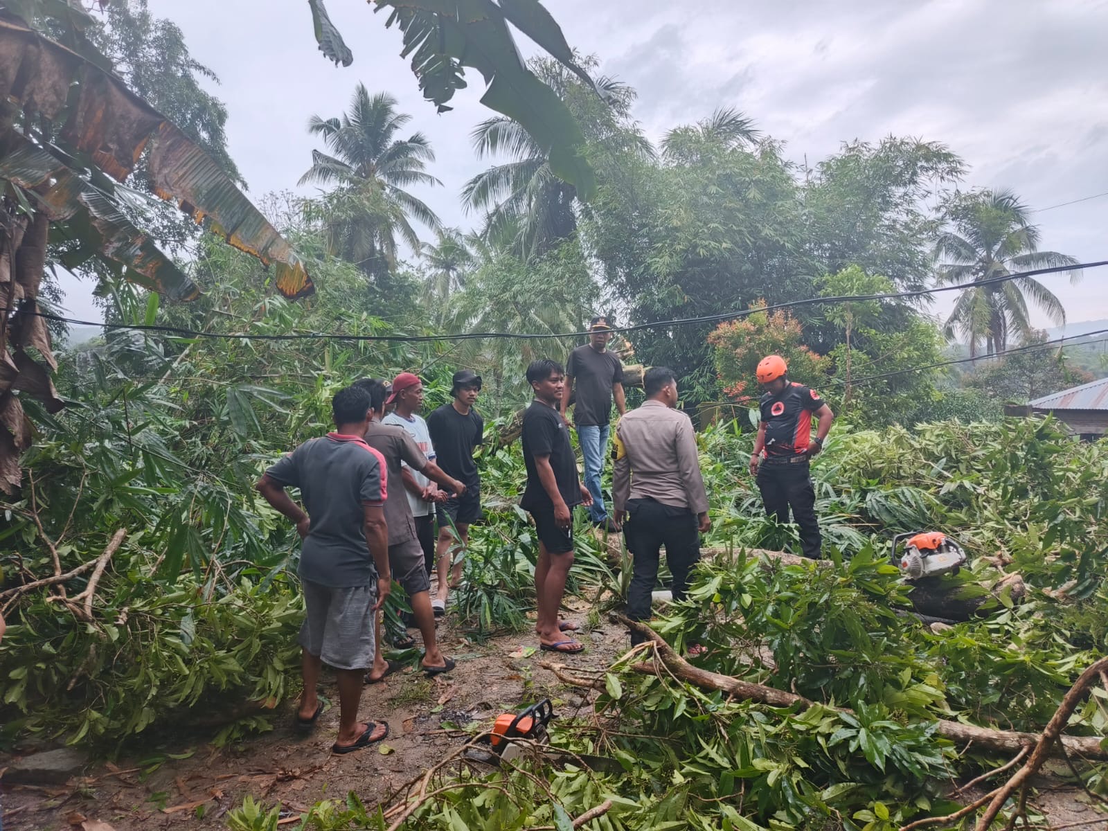 Personel Polres Barru Gerak Cepat Turut Evakuasi Pohon Tumbang Timpa Rumah Warga di Kading