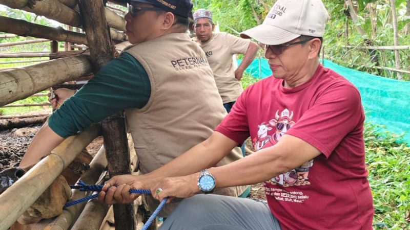 Dipimpin drh Nurdin, Satgas PMK Parepare Beri Layanan Kesehatan Hewan Terpadu di Bacukiki