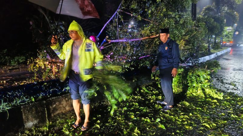 Polsek Barru Gerak Cepat Tangani Pohon Tumbang di Jalan Jenderal Sudirman, Kelurahan Sumpang Binangae