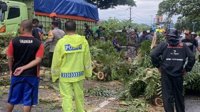 Respon Cepat Polisi Tangani Pohon Tumbang, Warga dan Pengendara Apresiasi Kinerja Polres Barru