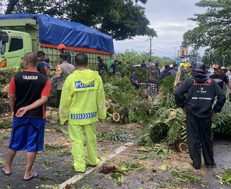 Respon Cepat Polisi Tangani Pohon Tumbang, Warga dan Pengendara Apresiasi Kinerja Polres Barru