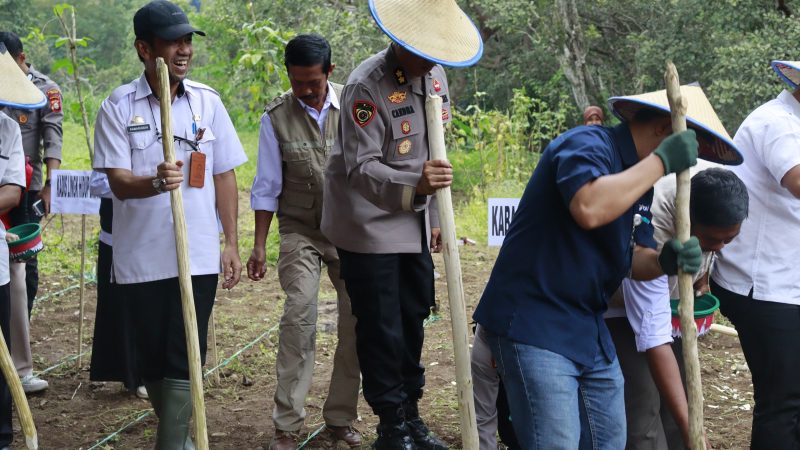 Target Produksi jagung di 2026, Polda Sulsel Sudah Menanam Jagung di Lahan 812 Hektar