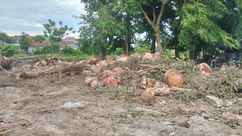 Pembabat Pohon di Hutan Kota Pinrang yang Dikecam Netizen Diawasi Baju Loreng