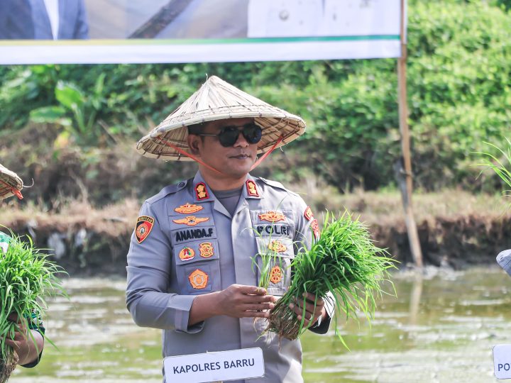 Komitmen Wujudkan Ketahanan Pangan, Polres Barru Dukung Percepatan Tanam Serentak 50 Ribu Hektar